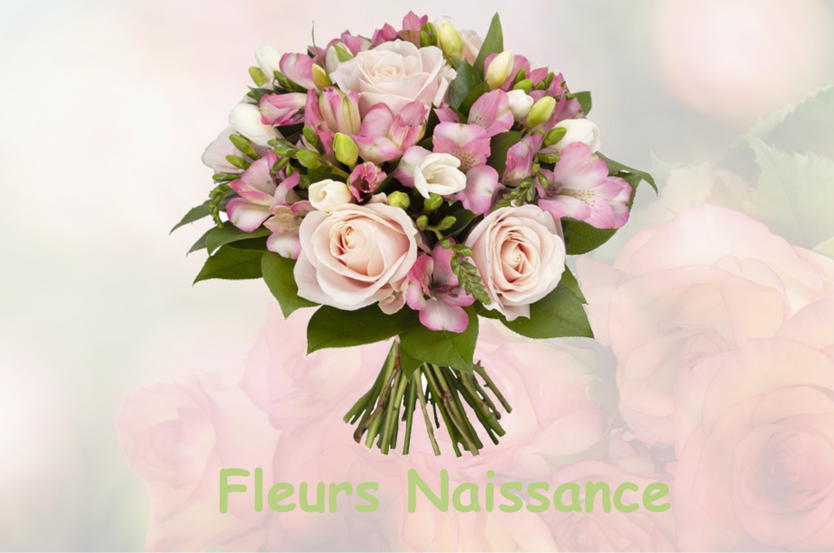 fleurs naissance DIGNA