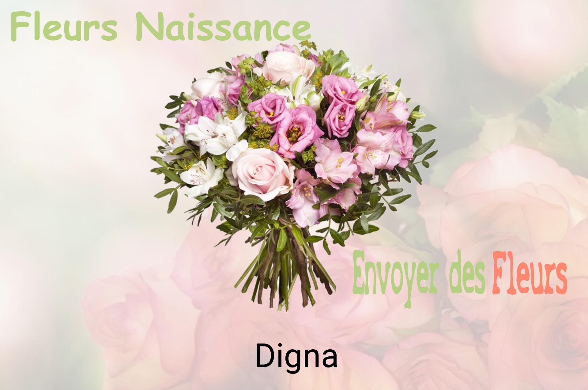Bouquet de fleurs de naissance livré à Digna