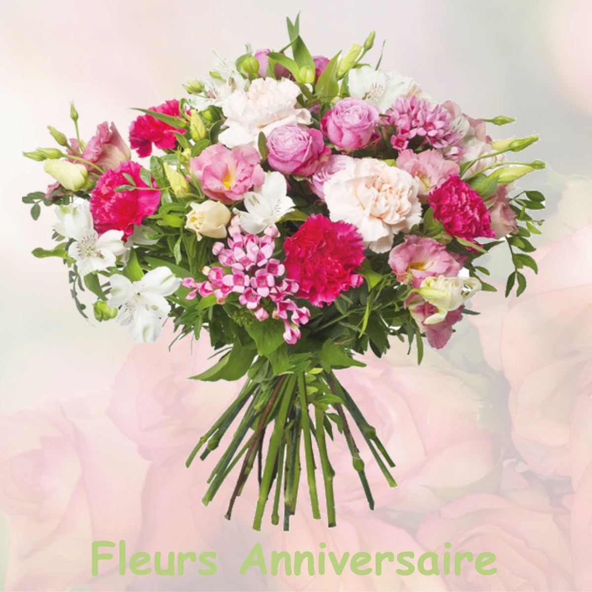 fleurs anniversaire DIGNA