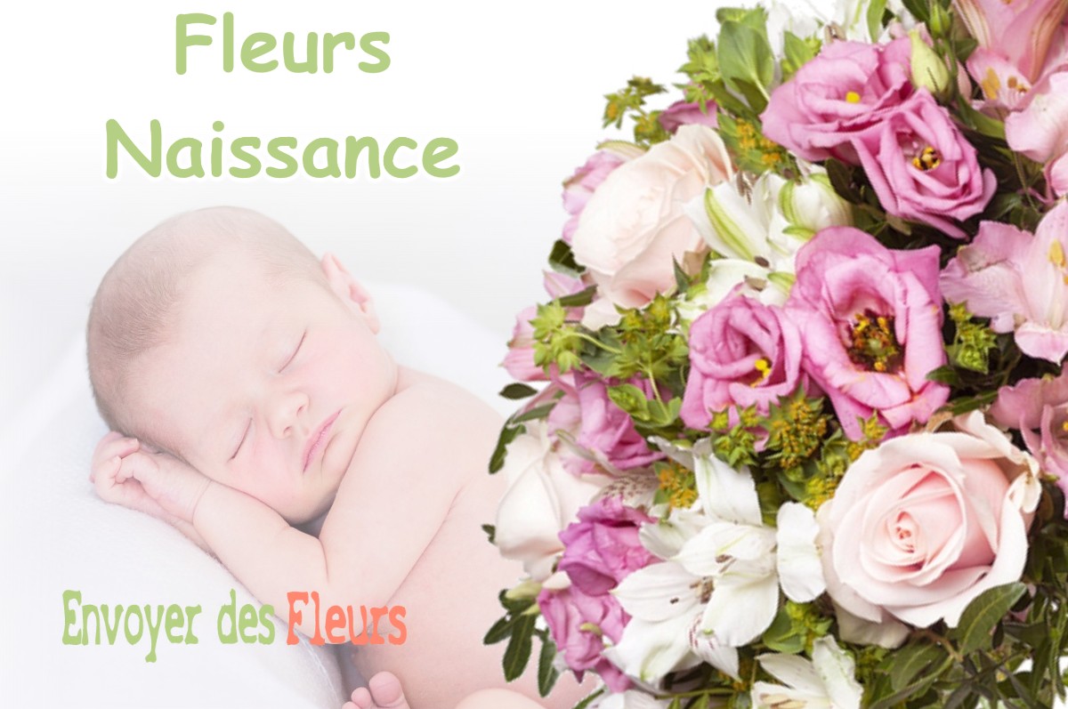 lIVRAISON FLEURS NAISSANCE à DIGNA